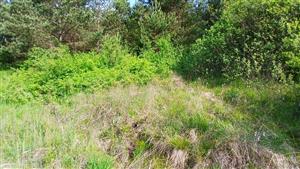 Pohľad na TML - severným smerom