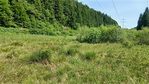 Pohľad na TML severným smerom