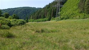 Pohľad na TML južným smerom