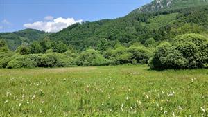 Pohľad na TML severo-západným smerom