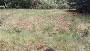 Pohľad na TML - východná časť