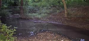 Inštalovaná sieť na odchyt