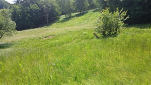 Pohľad na TML južným smerom