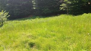 Pohľad na TML západným smerom