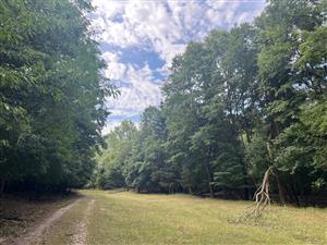 foto lokality monitoringu 