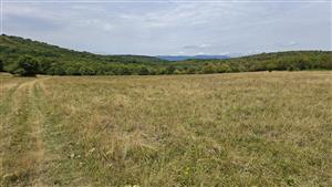 Záber na monitorovaný biotop.