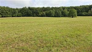 Záber na monitorovaný biotop.