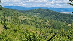 pohľad na časť TML