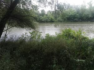 pohľad na TML pri váhu