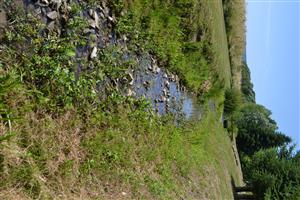 Horná časť TML, kosené brehy a okolie kanála, dno spevnené lomovým kameňom. Pod domom vodohospod. podniku.