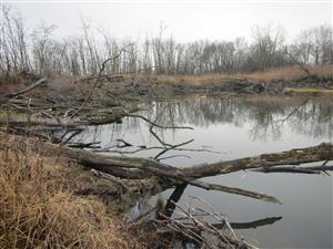 Castorland