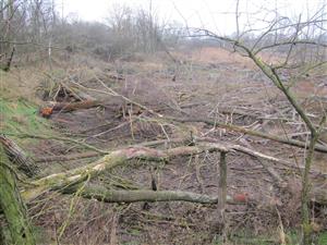 Castorland