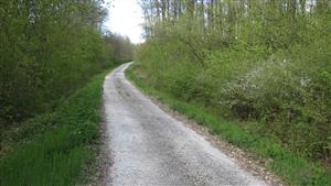 Pohľad na lokalitu