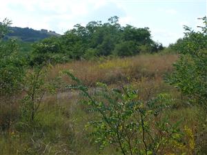 Plocha rozdelená cestou z okraja plochy