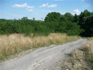 Lokalita na východ od cesty