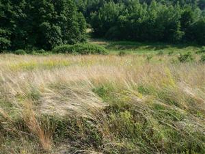 Západná časť lokality