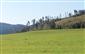 jašterica bystrá (26.4.2015)
