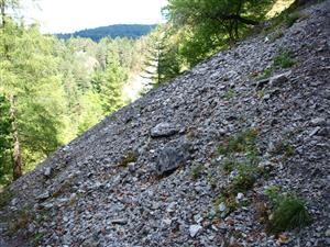 pohľad na lokalitu zboku2