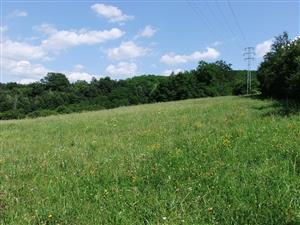 Pohlad na cast lokality