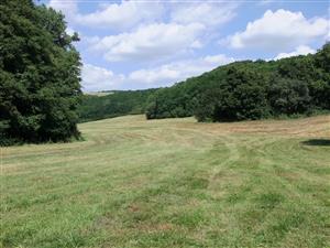 Pohlad na cast lokality (kosenu)