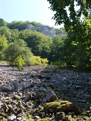 pohľad na lokalitu zospodu hore2