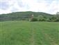 užovka hladká (9.5.2015)