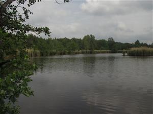 hať(754)