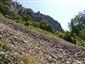 Nespevnené karbonátové skalné sutiny montánneho až kolinného stupňa (8.8.2013)