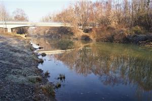 TML_Latorica_12_2014