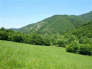 pohľad na lokalitu smerom dolu v pozadí Podhradská lesostep