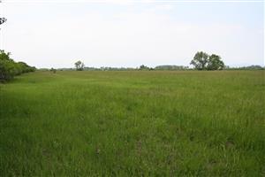 monitorovaný biotop