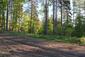 slávik tmavý (veľký) (25.5.2025)