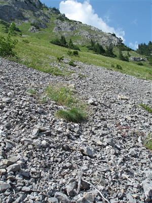 pohľad na lokalitu