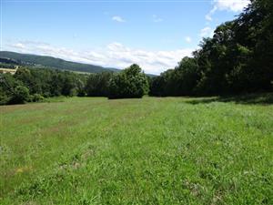 Pohľad na biotop na lokalite Rovňany