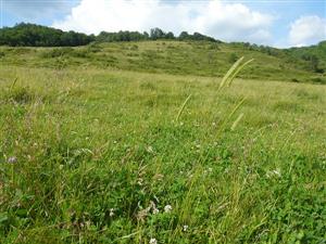 Pohľad na lokalitu Horné Hámre - Beňov vrch