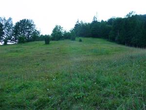 Pohľad na lokalitu od senníka pod lesom