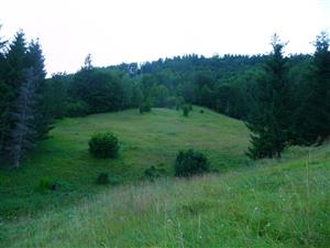 Pohľad z protiľahlého kopčeka