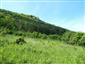 Suchomilné travinnobylinné a krovinové porasty na vápnitom podloží (*dôležité stanovištia Orchideaceae) (31.5.2015)
