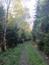 Kukučka obyčajná (jarabá) (18.5.2025)