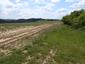 Hýľ (Červenák) karmínový (28.5.2025)
