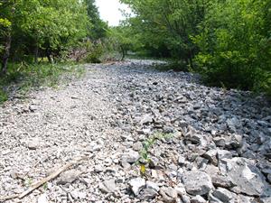 pohľad na lokalitu 3