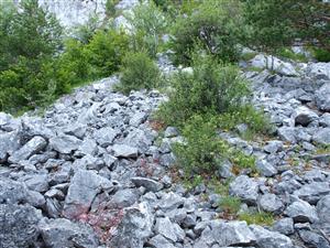 pohľad na lokalitu 4