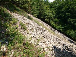 pohľad na lokalitu 2