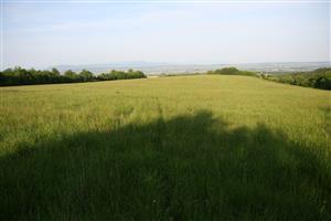 záber na biotop smer západ-východ