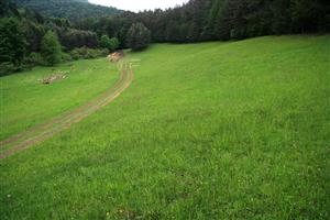 záber na monitorovaný biotop
