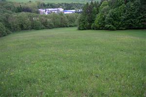 najsevernejšia lúka