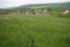 záber na biotop, svahovitá časť lúky smerom k cigánskej osade