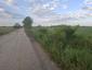 Sýkorka veľká ( bielolíca) (21.5.2025)