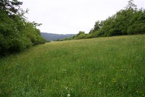 záber na najväčšiu lúku