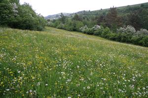 záber na monitorovaný biotop